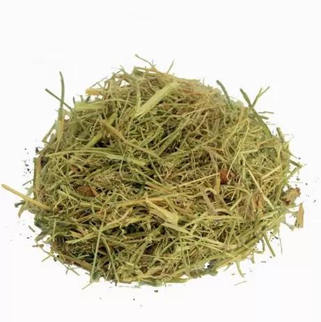 Melão de São Caetano Chá