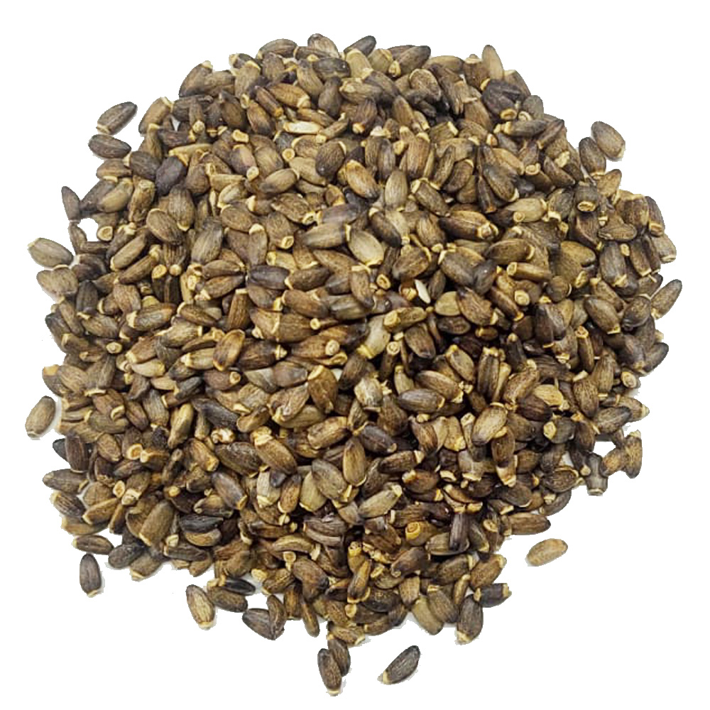 Cardo Mariano Semente